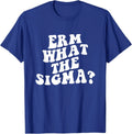 Erm What The Sigma Funny Brainrot Saying - Adult & Kids T-Shirts, Sweatshirts & Hoodies apparel design preview 1