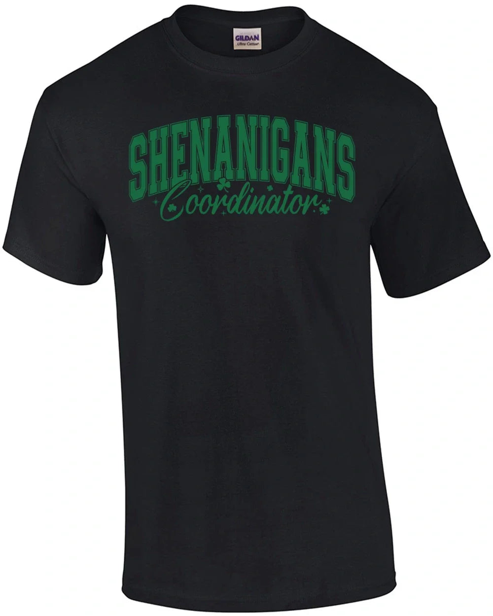 Shenanigans Coordinator - Adult & Kids T-Shirts, Sweatshirts & Hoodies apparel design preview 1