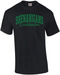 Shenanigans Coordinator - Adult & Kids T-Shirts, Sweatshirts & Hoodies apparel design preview 1