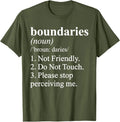 Not Friendly Definition Funny Ironic Meme - Adult & Kids T-Shirts, Sweatshirts & Hoodies apparel design preview 1