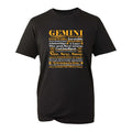 Gemini Astrology Star Sign Zodiac Horoscope Birthday - Adult & Kids T-Shirts, Sweatshirts & Hoodies apparel design preview 1