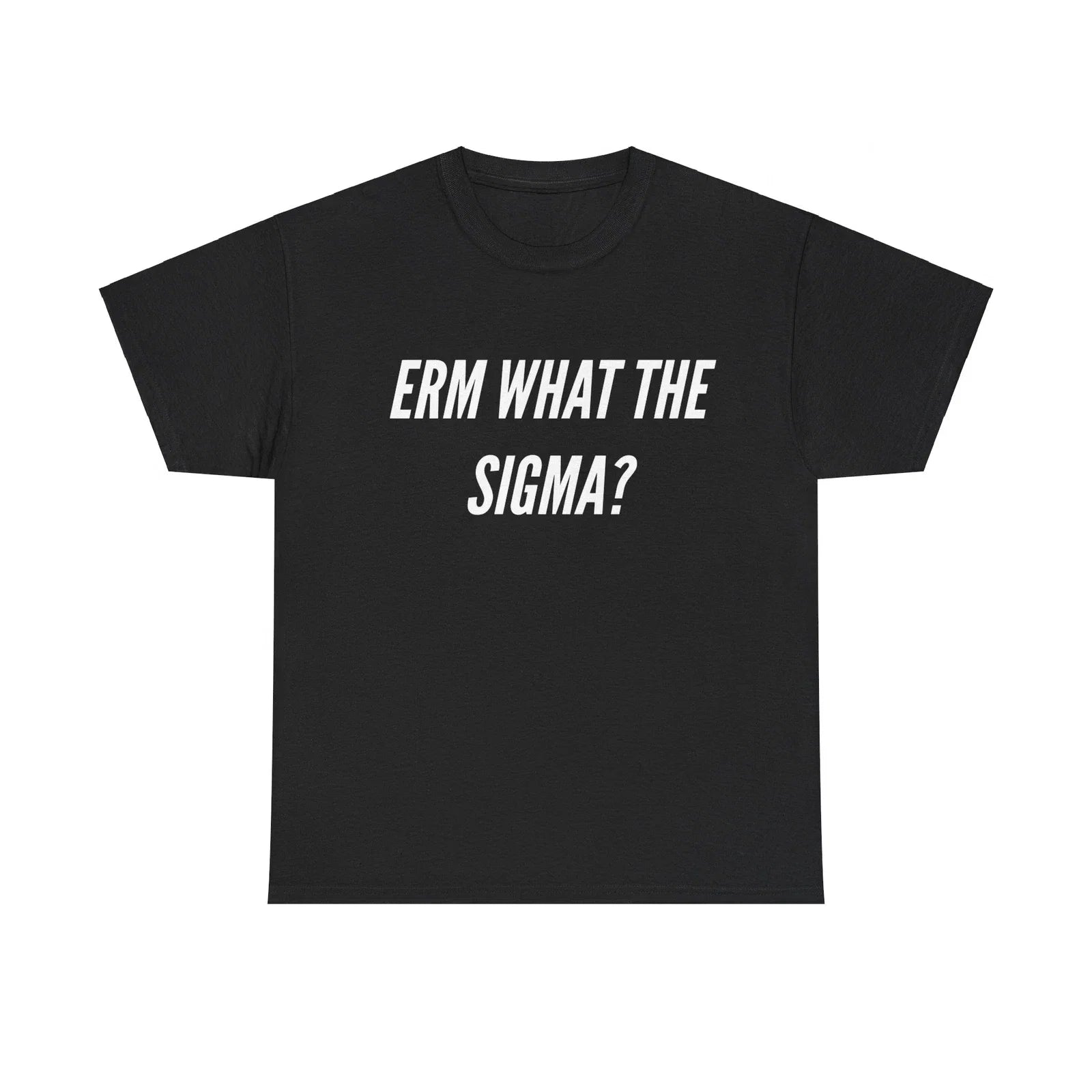 Erm What The Sigma? Funny Meme - Adult & Kids T-Shirts, Sweatshirts & Hoodies apparel design preview 1