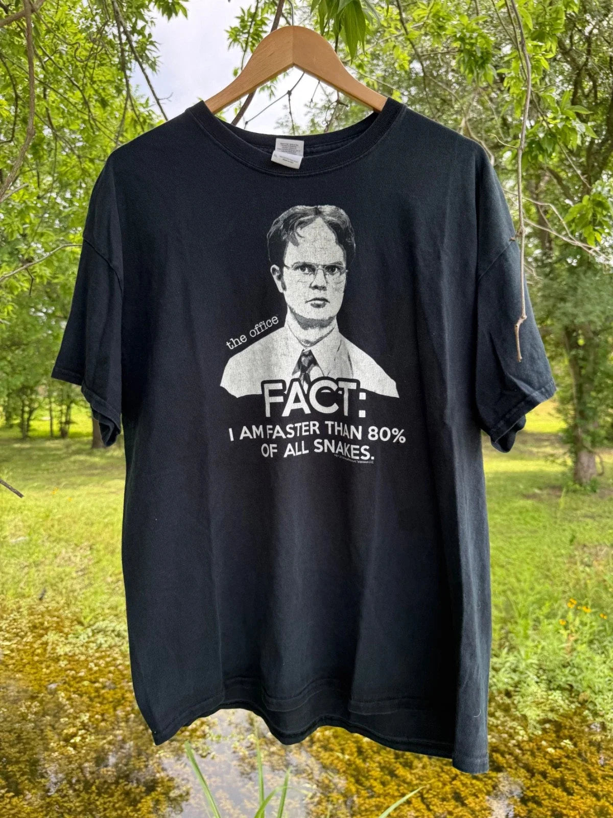 The Office-Dwight "I Am Faster Than 80% Of Snakes - Adult & Kids T-Shirts, Sweatshirts & Hoodies apparel design preview 1