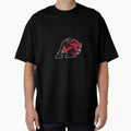 Albright College T-Shirt - Streetwear Style Unisex - T-Shirt, Sweatshirt, Hoodie