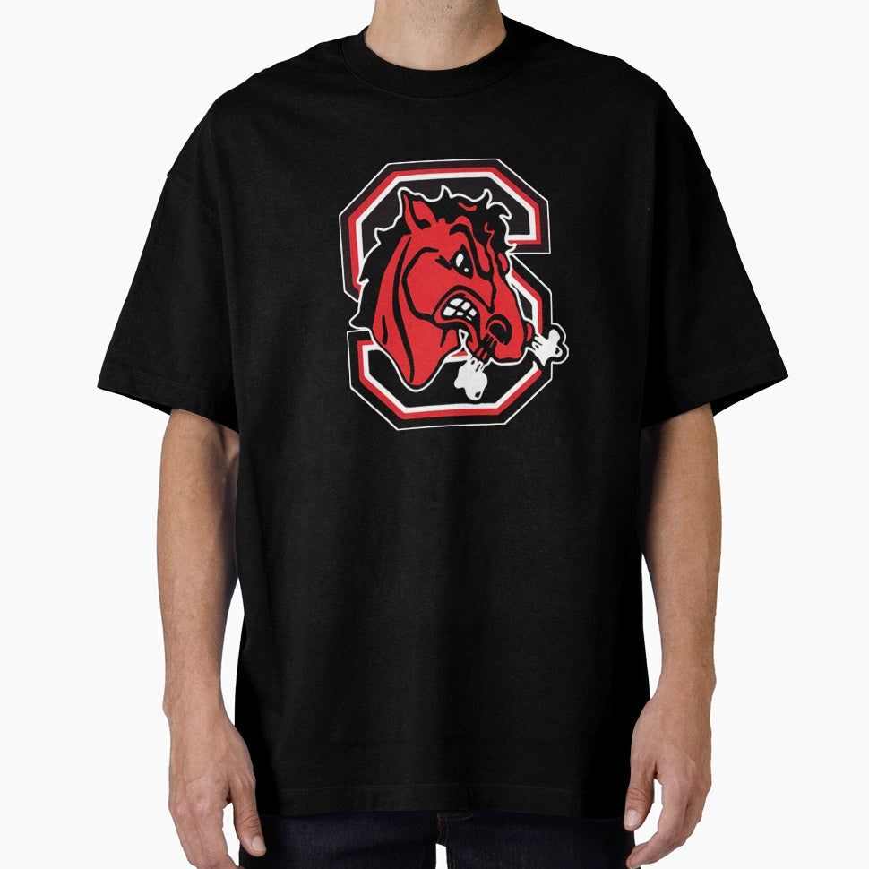 Steubenville Logo T-Shirt - Casual Everyday Wear Unisex - T-Shirt, Sweatshirt, Hoodie