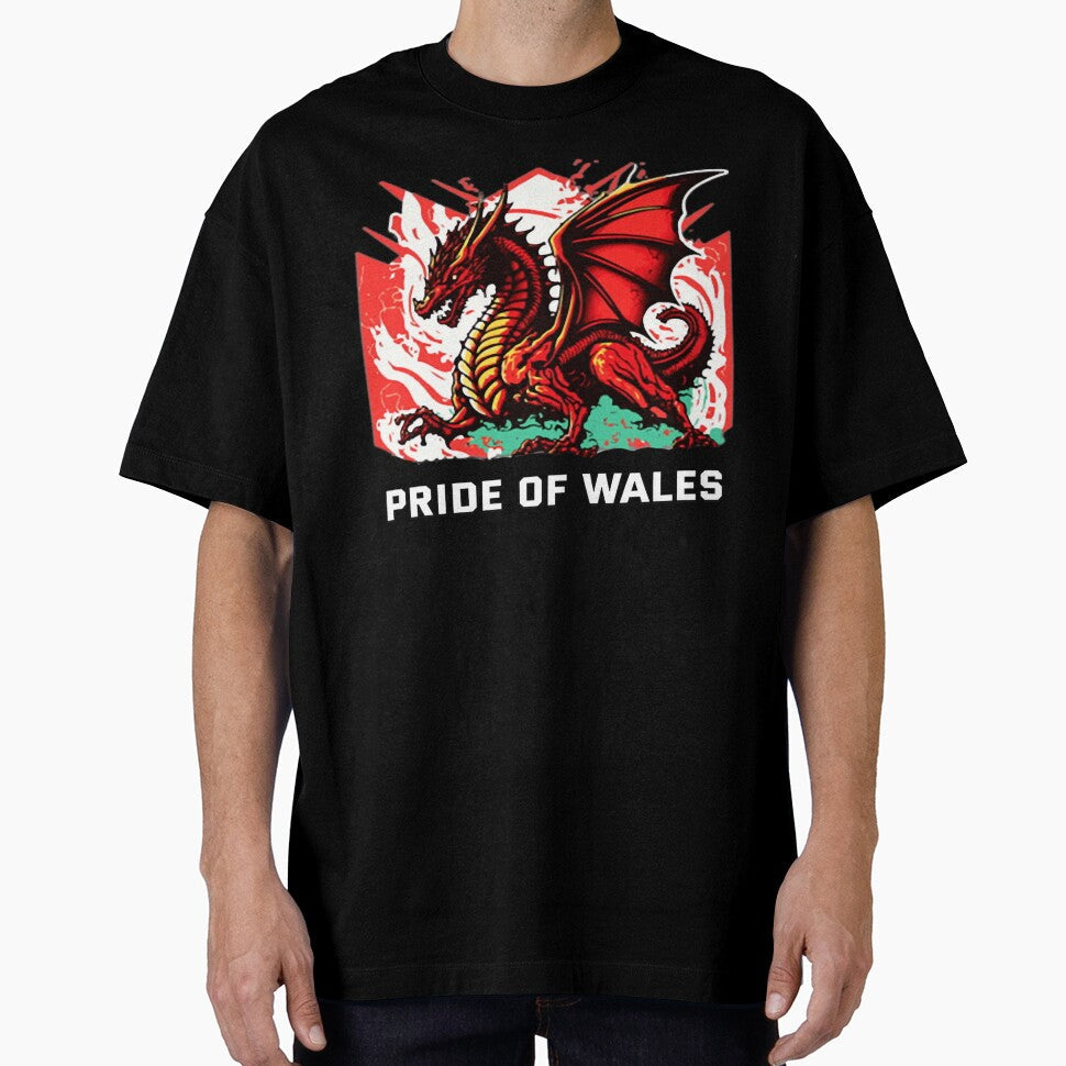 Pride of wales by SyonaCalthorpe - Adult & Kids T-Shirts, Sweatshirts & Hoodies apparel design preview 1