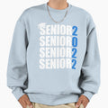 Seniors 2022 Class 2022 Sweatshirt - Aesthetic Graphic for Adults - T-Shirt, Sweatshirt, Hoodie