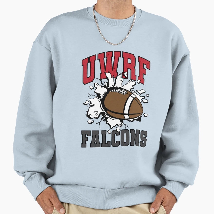 Celebrating Falcon Football Sweatshirt - Streetwear Style Men Women - T-Shirt, Sweatshirt, Hoodie