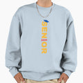 Senior 2024 Class 2024 Graduation Sweatshirt - Novelty Apparel for Adults - T-Shirt, Sweatshirt, Hoodie