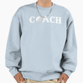Golf Coach Sweatshirt - Novelty Apparel for Adults - T-Shirt, Sweatshirt, Hoodie
