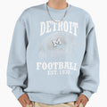 Football Detroit Lions Sweatshirt - Unique Graphic for Adults - T-Shirt, Sweatshirt, Hoodie