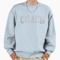 Coach Sports Coaches Gift T-Shirt - Novelty Apparel Men Women - T-Shirt, Sweatshirt, Hoodie