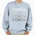 Coach Trainer Mindset Mentor Sweatshirt - Aesthetic Graphic for Adults - T-Shirt, Sweatshirt, Hoodie