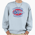 Washington Sentinels Replacements Sweatshirt - Streetwear Style for Adults - T-Shirt, Sweatshirt, Hoodie