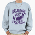 Baltimore Football Sweatshirt - Unique Graphic for Adults - T-Shirt, Sweatshirt, Hoodie