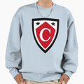 Capella University 1 Sweatshirt - Fun Novelty Design Unisex - T-Shirt, Sweatshirt, Hoodie