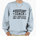 Assistant Coach Funny Sports Coaching Sweatshirt - Graphic Print Men Women - T-Shirt, Sweatshirt, Hoodie