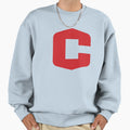 Central College Iowa Sweatshirt - Custom Art Print for Adults - T-Shirt, Sweatshirt, Hoodie