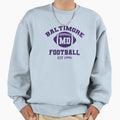 Baltimore Football Est 1996 Sweatshirt - Novelty Apparel for Adults - T-Shirt, Sweatshirt, Hoodie