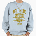 Baltimore Football Team Inspired Sweatshirt - Streetwear Style for Adults - T-Shirt, Sweatshirt, Hoodie