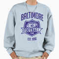 Baltimore Football Team Inspired Sweatshirt - Graphic Print for Adults - T-Shirt, Sweatshirt, Hoodie