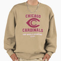 Chicago Cardinals 1924 World Champs Sweatshirt - Trendy Graphic for Adults - T-Shirt, Sweatshirt, Hoodie
