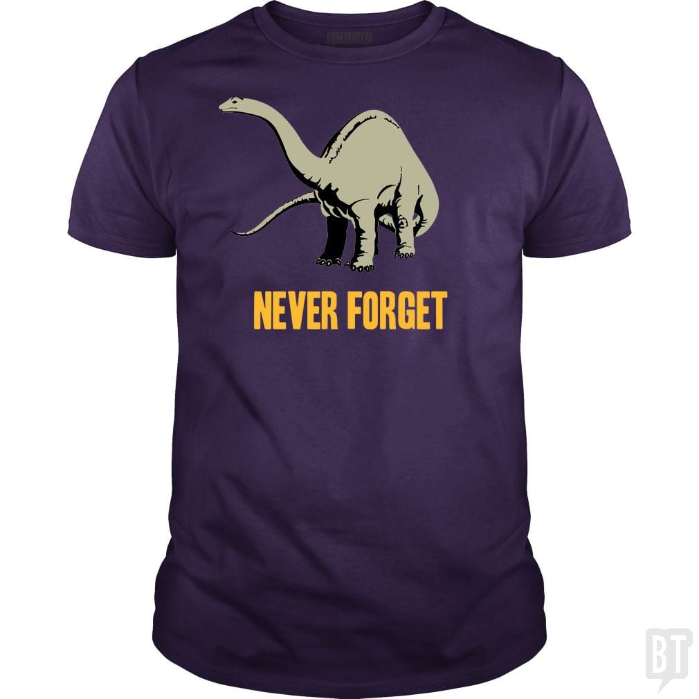 Never Forget - Adult & Kids T-Shirts, Sweatshirts & Hoodies apparel design preview 1