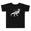 Purrannosaurus Rex Kid's Toddler - Adult & Kids T-Shirts, Sweatshirts & Hoodies apparel design preview 1