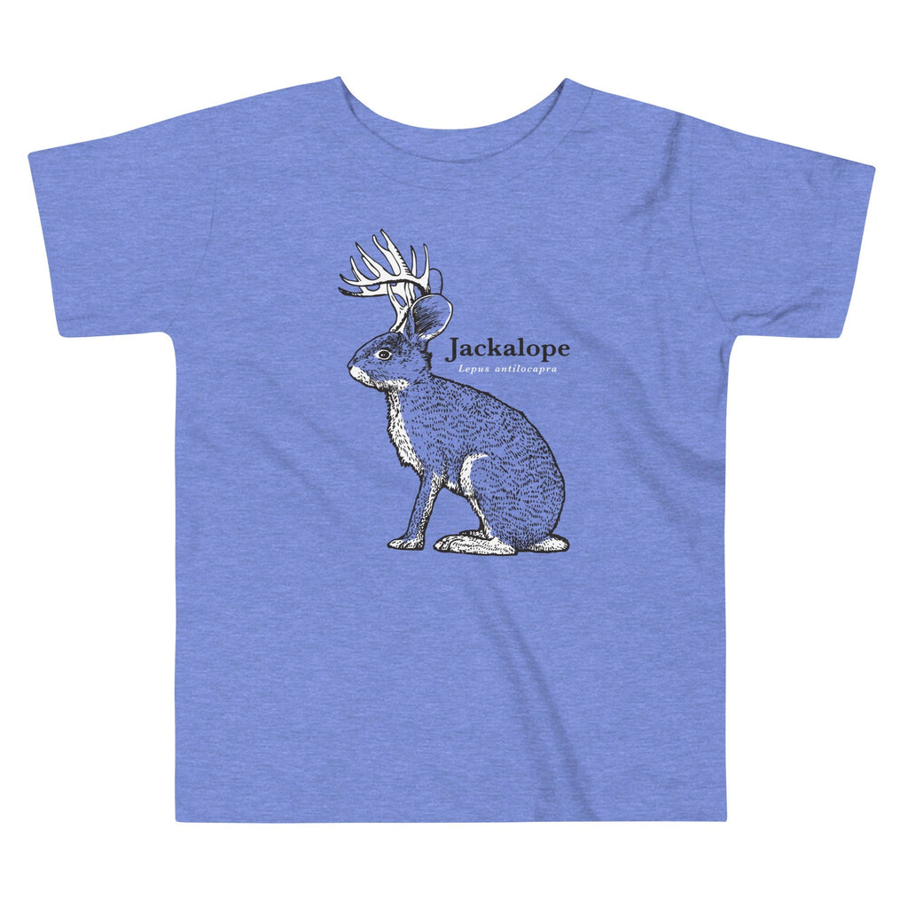 Jackalope Kid's Toddler - Adult & Kids T-Shirts, Sweatshirts & Hoodies apparel design preview 1