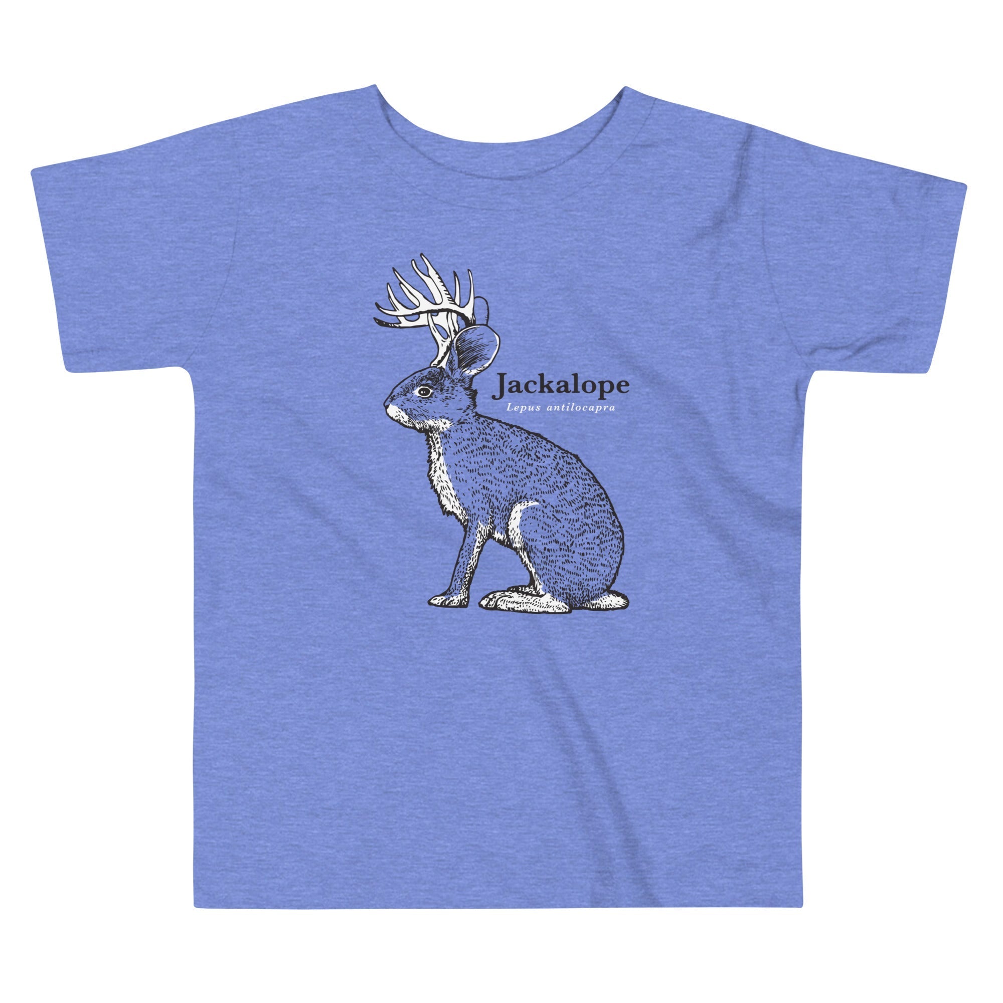 Jackalope Kid's Toddler - Adult & Kids T-Shirts, Sweatshirts & Hoodies apparel design preview 1