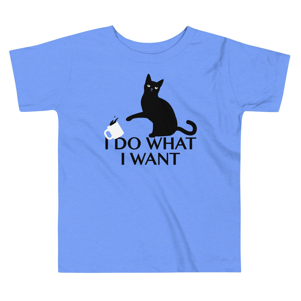 I Do What Want Kid's Toddler - Adult & Kids T-Shirts, Sweatshirts & Hoodies apparel design preview 1