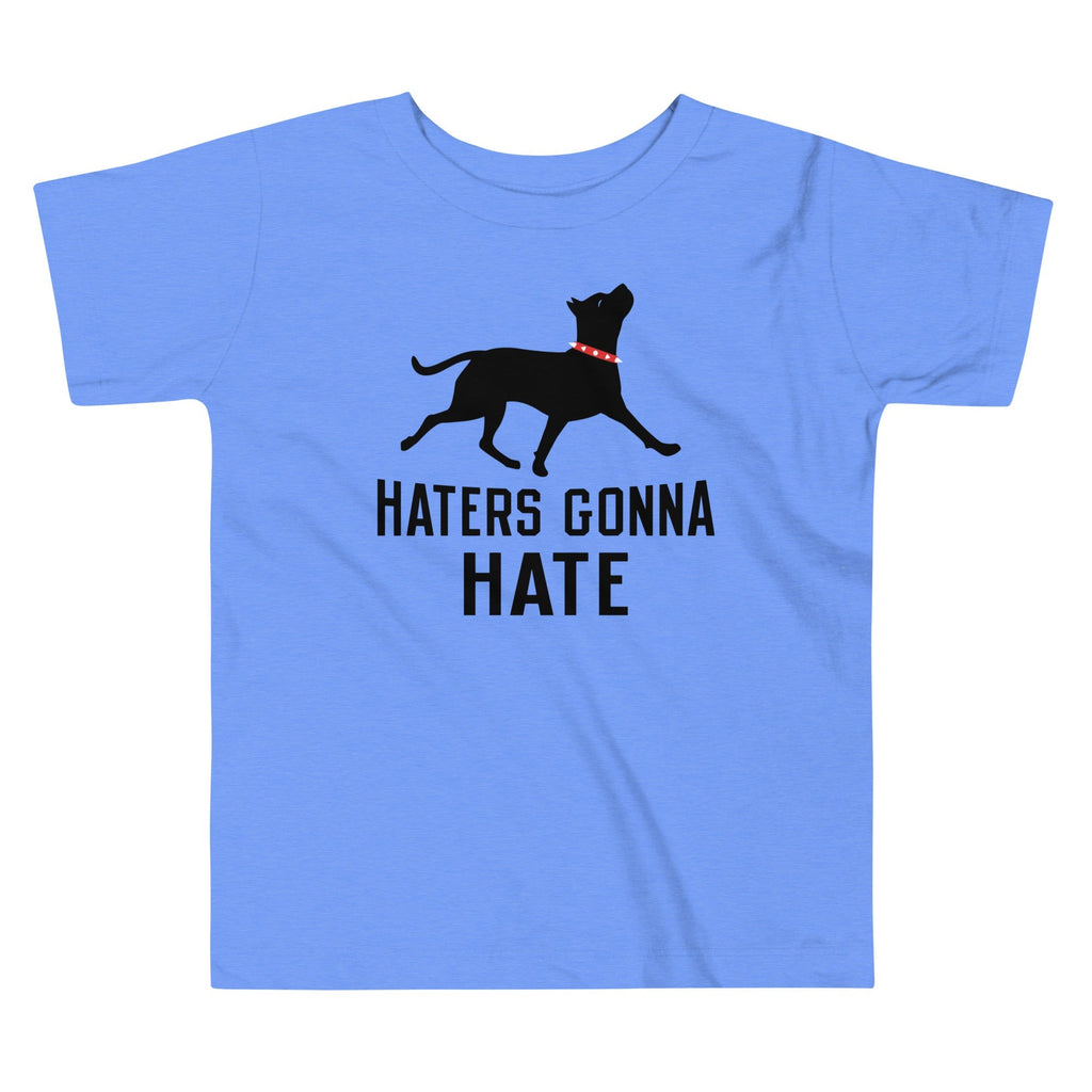 Haters Gonna Hate Pit Kid's Toddler - Adult & Kids T-Shirts, Sweatshirts & Hoodies apparel design preview 1