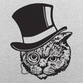 Top Hat Cat - Adult & Kids T-Shirts, Sweatshirts & Hoodies apparel design preview 1