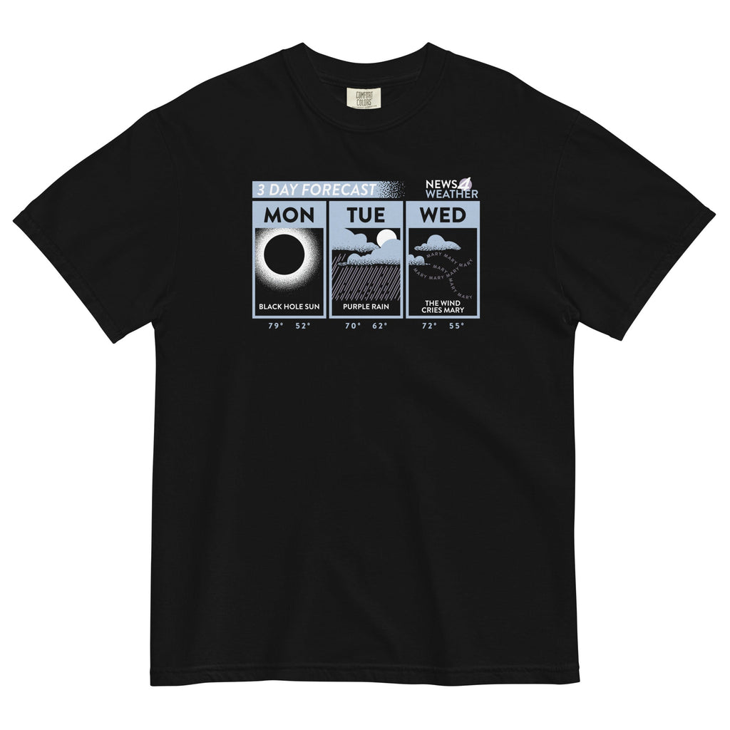 3 Day Forecast Men's Relaxed Fit - Adult & Kids T-Shirts, Sweatshirts & Hoodies apparel design preview 1