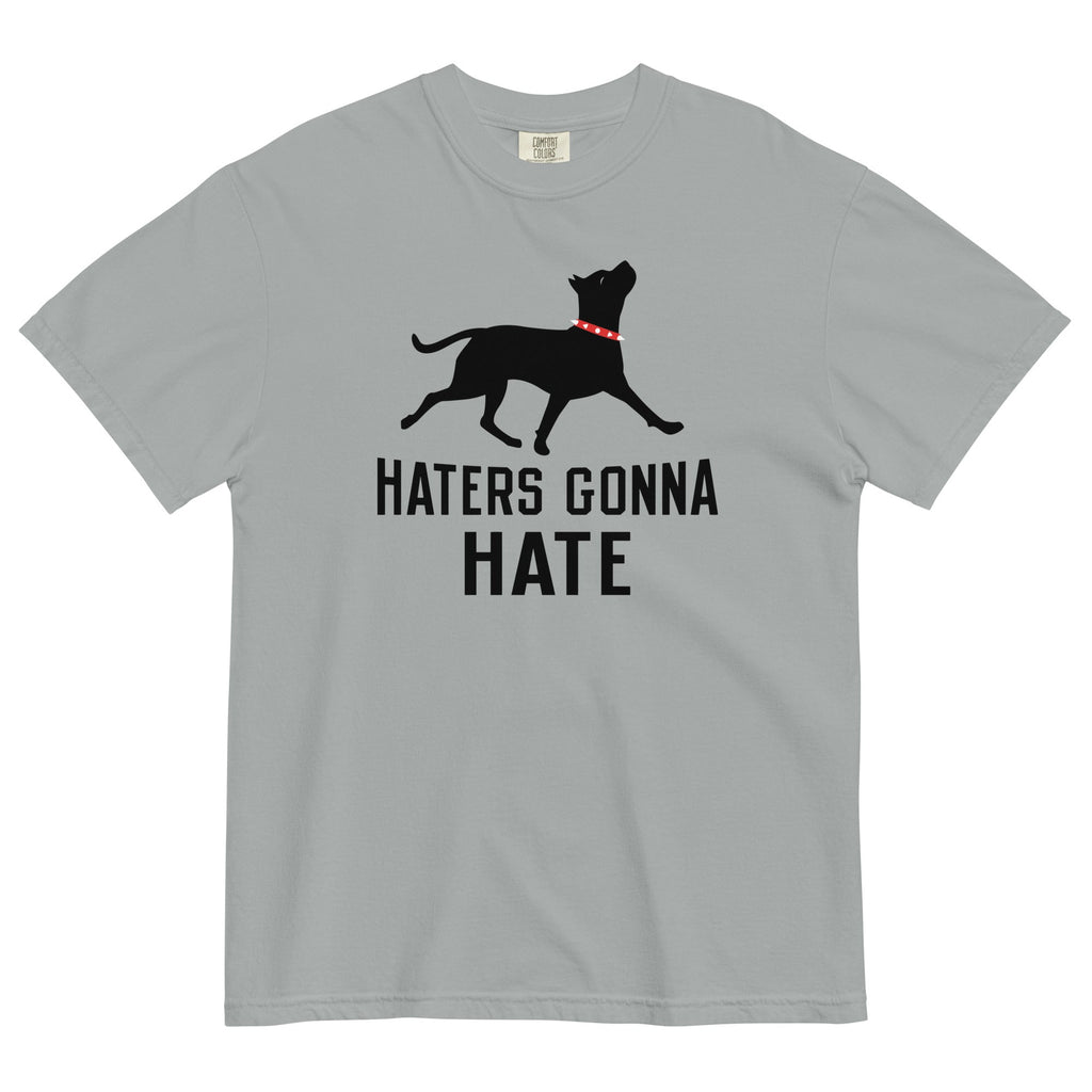 Haters Gonna Hate Pit Men's Relaxed Fit - Adult & Kids T-Shirts, Sweatshirts & Hoodies apparel design preview 1