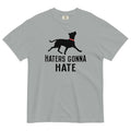 Haters Gonna Hate Pit Men's Relaxed Fit - Adult & Kids T-Shirts, Sweatshirts & Hoodies apparel design preview 1