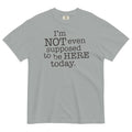 I'm Not Even Supposed To Be Here Today Men's Relaxed - Adult & Kids T-Shirts, Sweatshirts & Hoodies apparel design preview 1