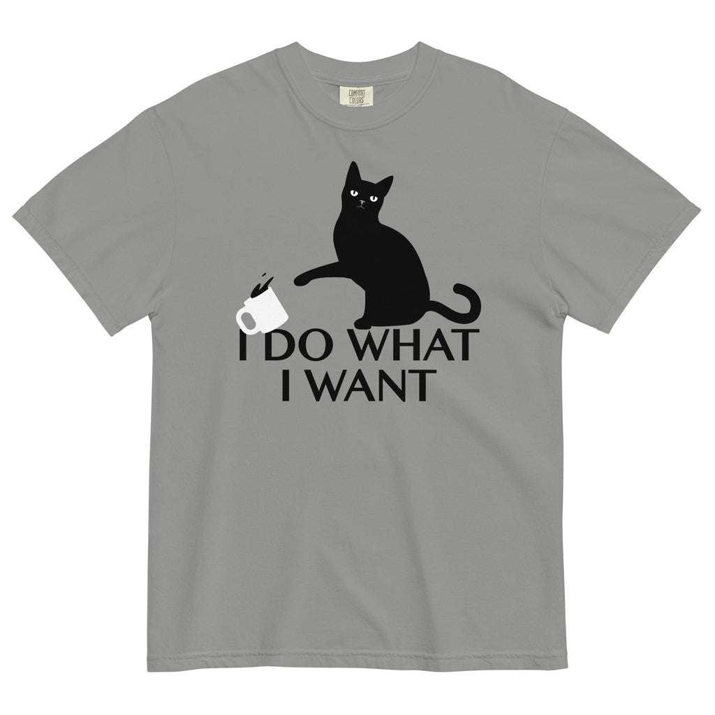 I Do What Want Men's Relaxed Fit - Adult & Kids T-Shirts, Sweatshirts & Hoodies apparel design preview 1