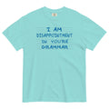 I Am Disappointment Men's Relaxed Fit - Adult & Kids T-Shirts, Sweatshirts & Hoodies apparel design preview 1