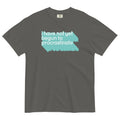 Not Begun To Procrastinate Men's Relaxed Fit - Adult & Kids T-Shirts, Sweatshirts & Hoodies apparel design preview 1