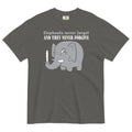 Elephants Never Forgive Men's Relaxed Fit - Adult & Kids T-Shirts, Sweatshirts & Hoodies apparel design preview 1