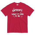 Entropy, It's Not What It Used To Be Men's Relaxed - Adult & Kids T-Shirts, Sweatshirts & Hoodies apparel design preview 1