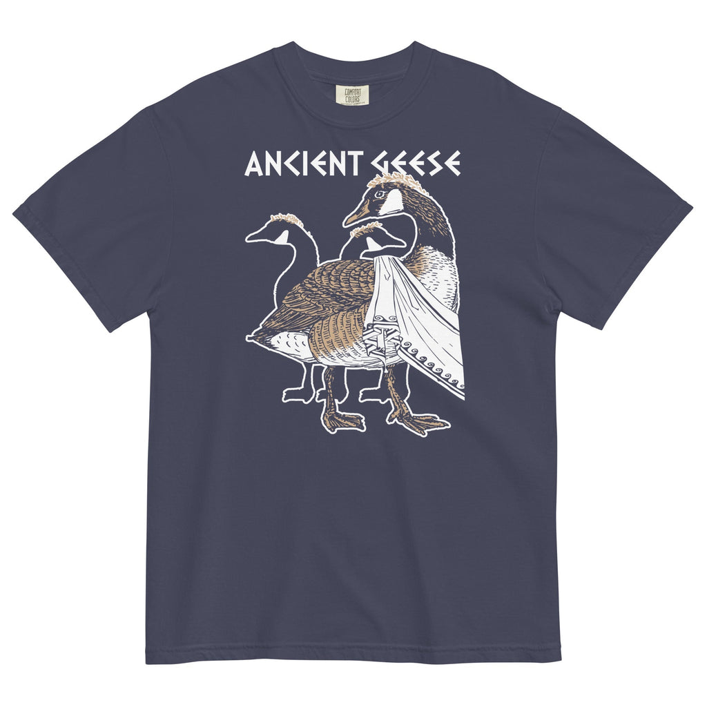 Ancient Geese Men's Relaxed Fit - Adult & Kids T-Shirts, Sweatshirts & Hoodies apparel design preview 1