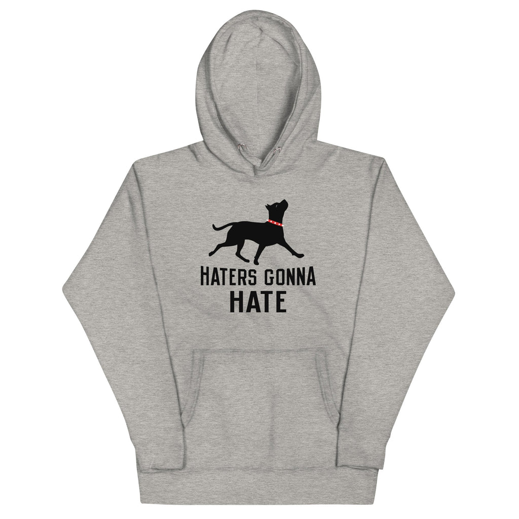 Haters Gonna Hate Pit - Adult & Kids T-Shirts, Sweatshirts & Hoodies apparel design preview 1