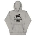 Haters Gonna Hate Pit - Adult & Kids T-Shirts, Sweatshirts & Hoodies apparel design preview 1
