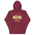 If Life Gives You Melons - Adult & Kids T-Shirts, Sweatshirts & Hoodies apparel design preview 1