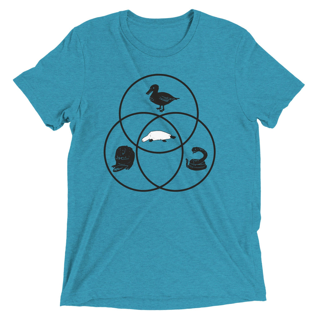 Platypus Venn Diagram Men's Tri-Blend - Adult & Kids T-Shirts, Sweatshirts & Hoodies apparel design preview 1