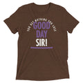 Good Day Sir! Men's Tri-Blend - Adult & Kids T-Shirts, Sweatshirts & Hoodies apparel design preview 1