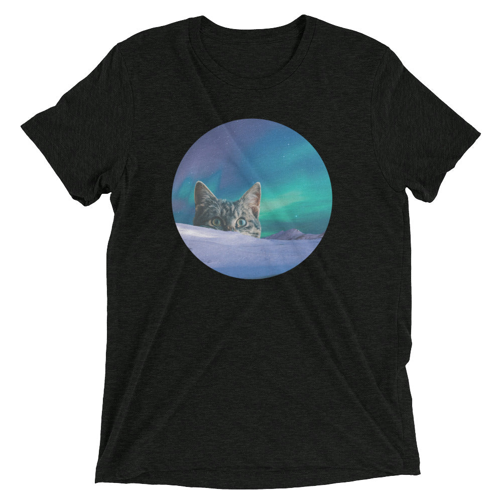 Meowthern Lights Men's Tri-Blend - Adult & Kids T-Shirts, Sweatshirts & Hoodies apparel design preview 1