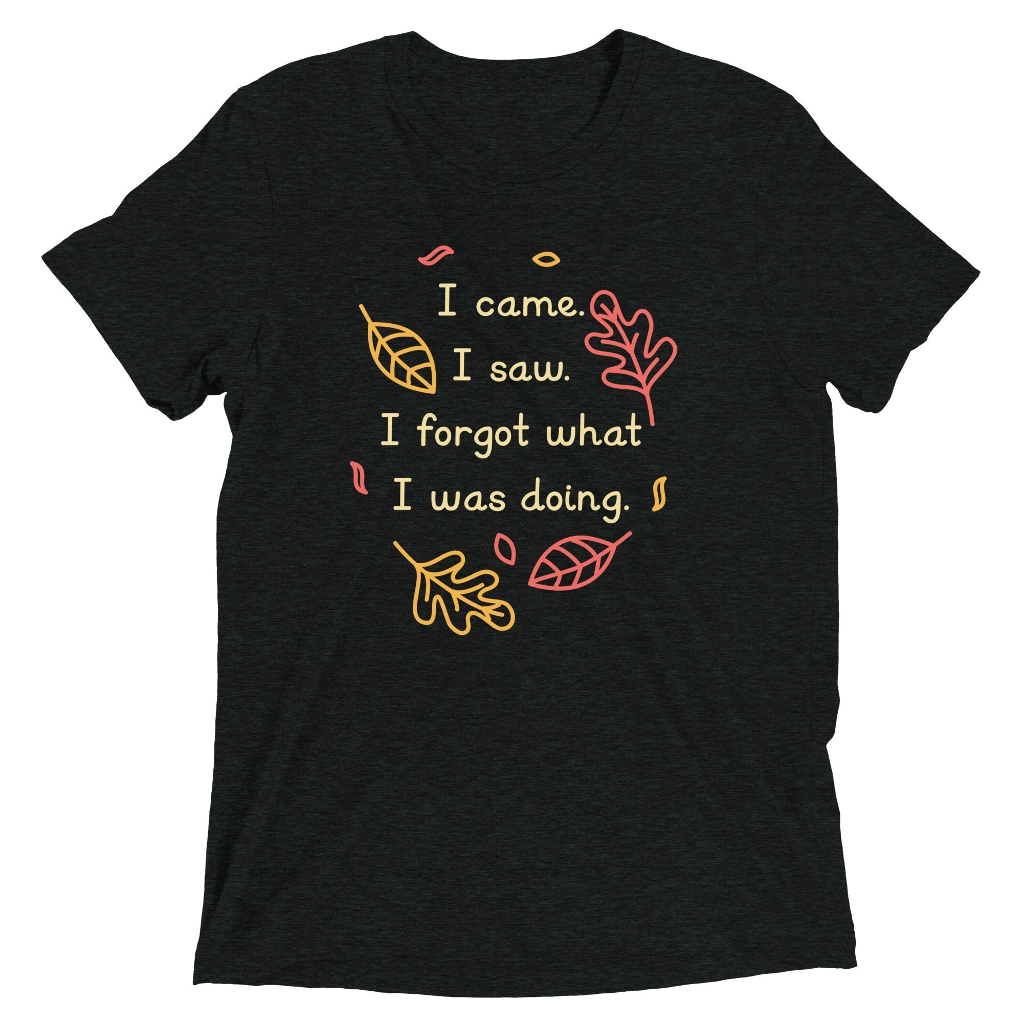 I Came. Saw. Forgot What Was Doing. Men's Tri-Blend - Adult & Kids T-Shirts, Sweatshirts & Hoodies apparel design preview 1